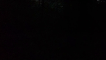 cellphone-firefly2