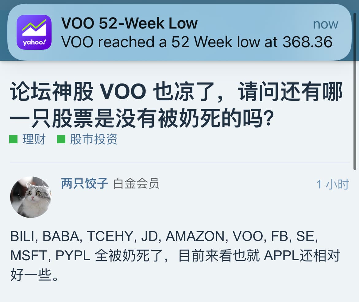 论坛神股VOO 也凉了，请问还有哪一只股票是没有被奶死的吗？ - 股市投资- 美卡论坛