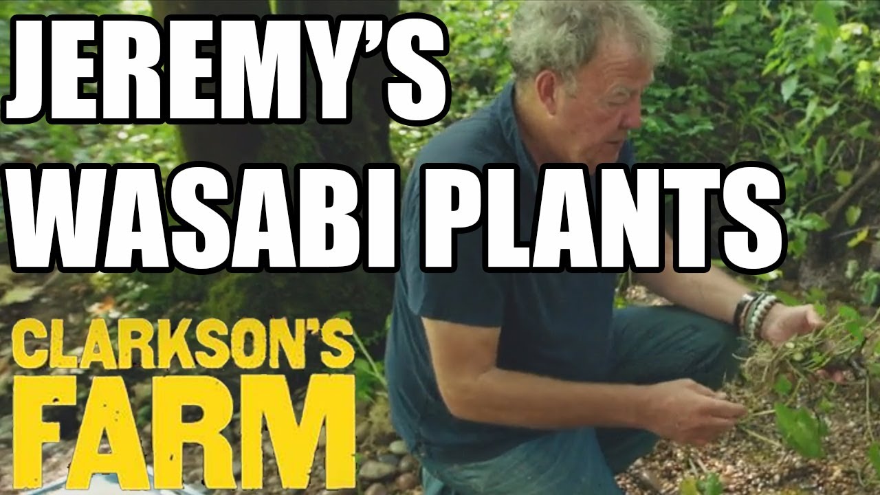 细思极恐的饮食偏好真相 吃货 美卡论坛