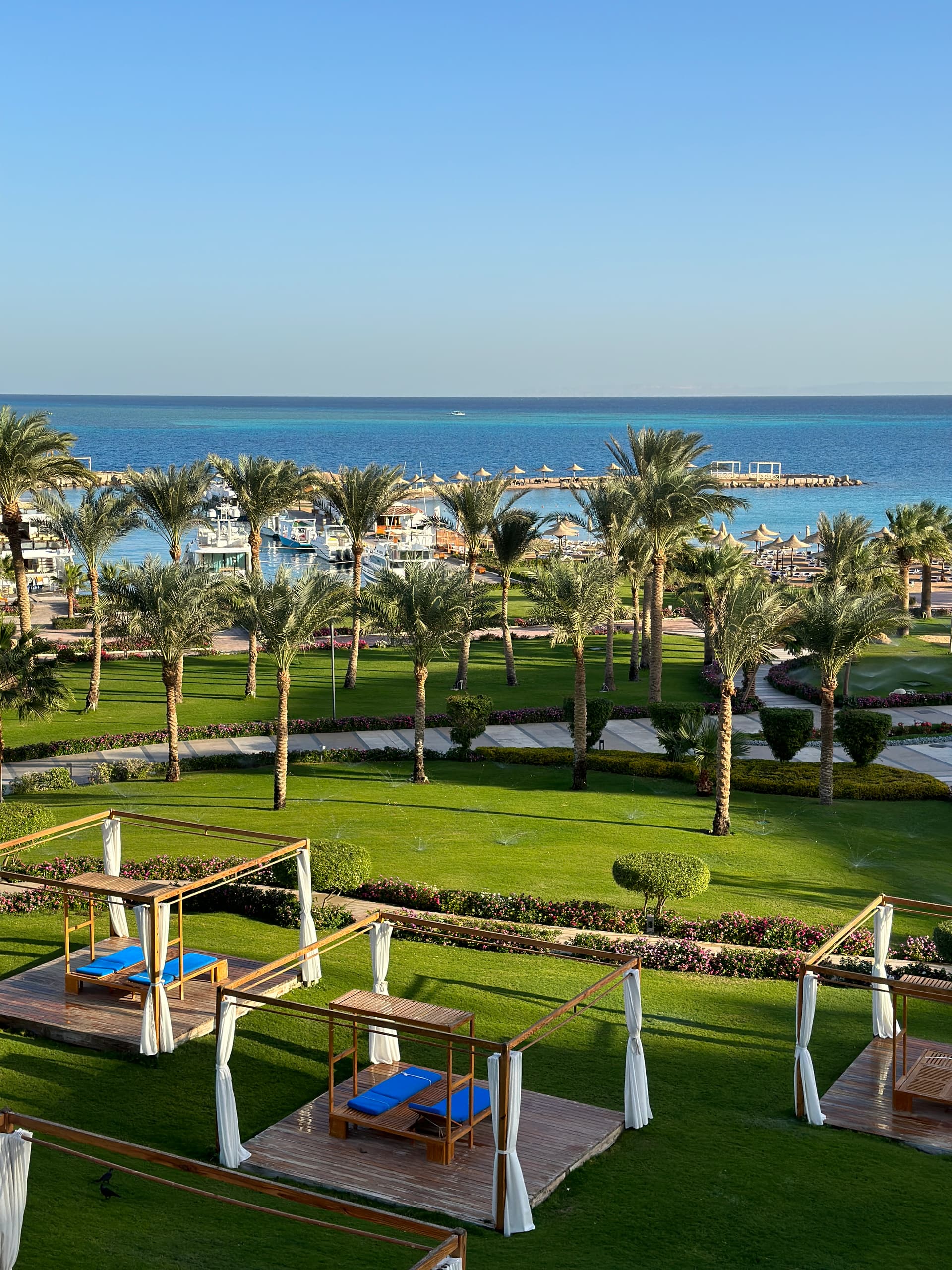 埃及游记Cairo Hurghada Aswan Luxor （开始施工中） - 第9 页- 旅行- 美卡论坛