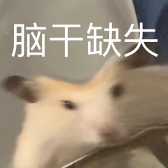 sogou20251121_015412288304