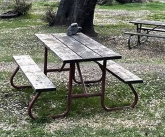 Screenshot 2024-07-30 at 1.14.38 PM