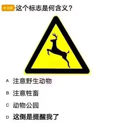 dd5f89864f7d7491938364b02e6c67b9