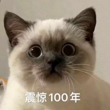sogou20251120_104404532972