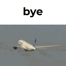 United Airlines GIFs | Tenor
