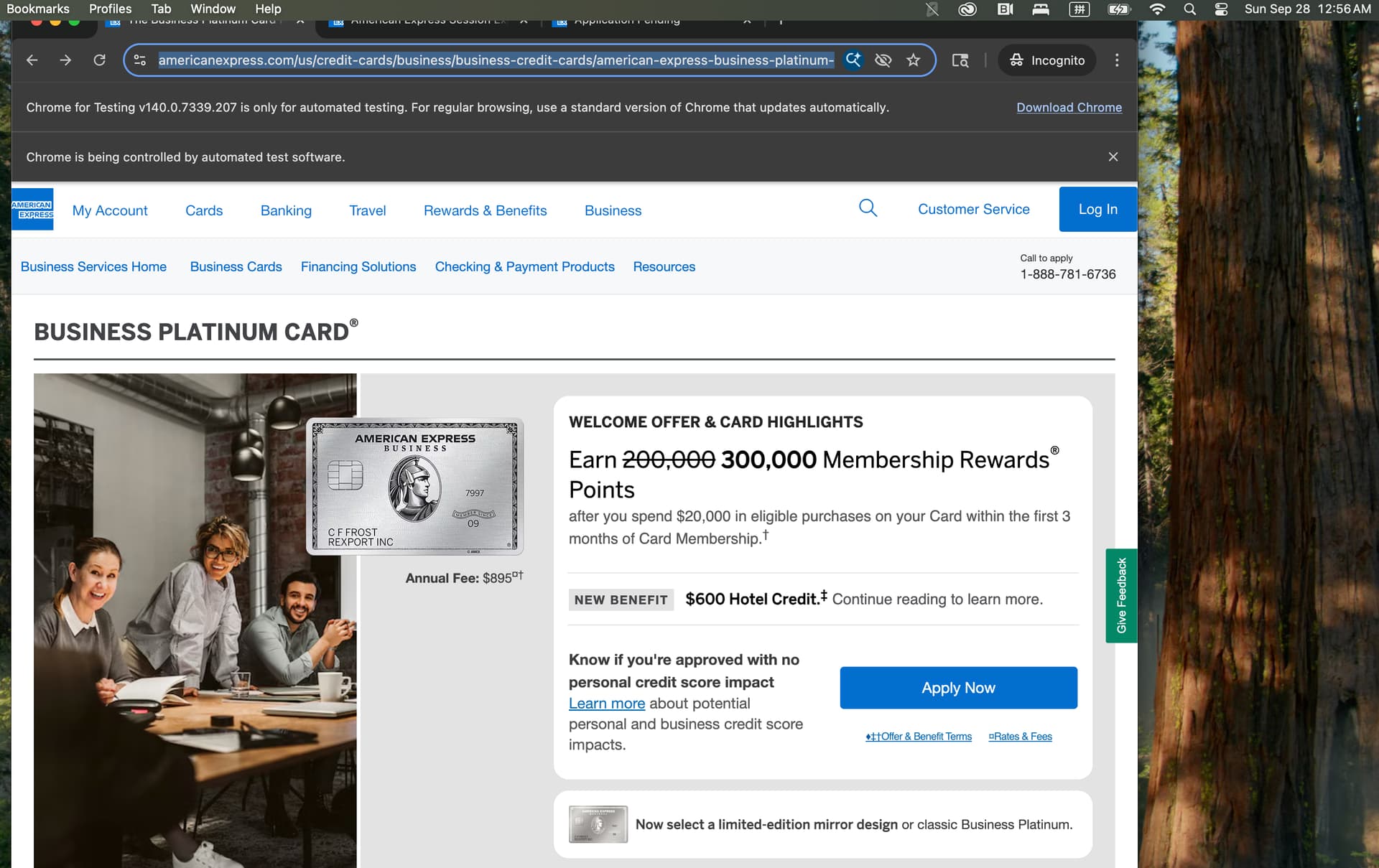 商白300K又出现了- 美卡论坛
