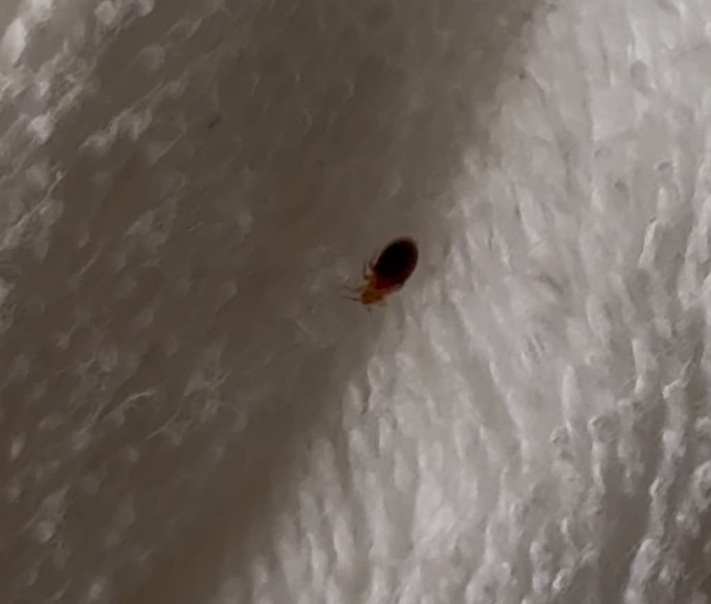 704d3b8153b67ef4a2b8c3a9d91bc1f