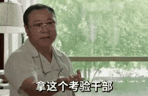 范伟：拿这个考验干部_哪个干部经不起这样的考验GIF动图- DIY斗图表情- diydoutu.com