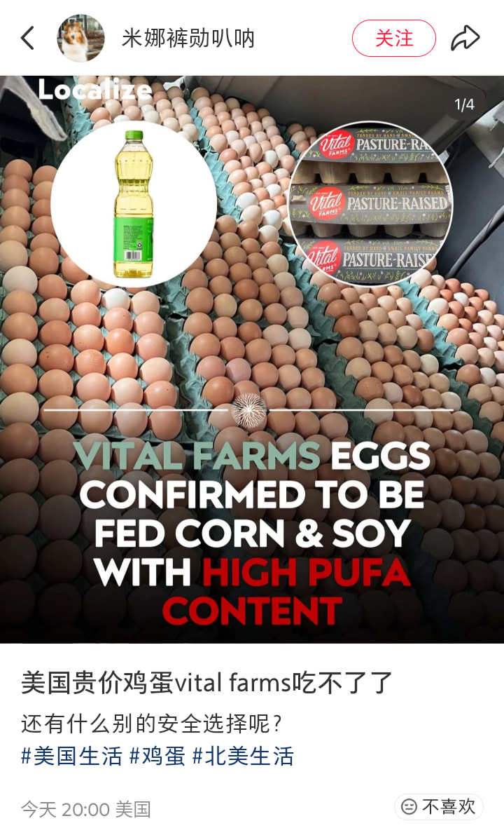 买股票领土鸡蛋（2025年3月又来了） - #594，来自maruha - 股市投资- 美卡论坛